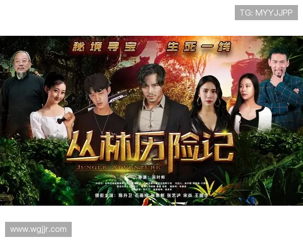 罪与罚的交响曲:深入《法律与秩序:特殊受害者》的暗夜迷踪