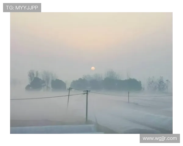 初冬的低语：时光收藏家的暖意诗篇